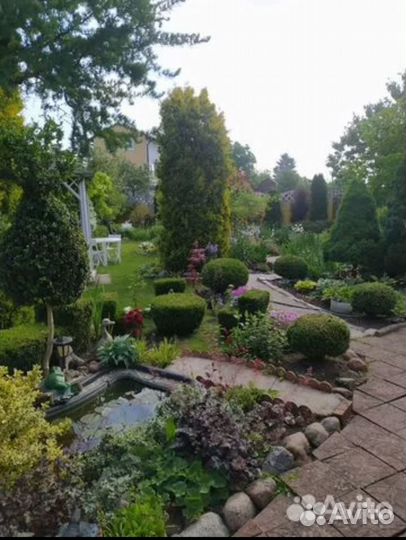 Садовые цветы многолетники