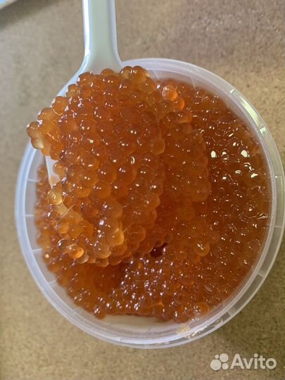 Красная икра 2023 горбуши