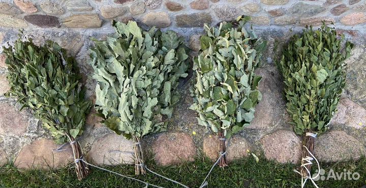 Банный веник