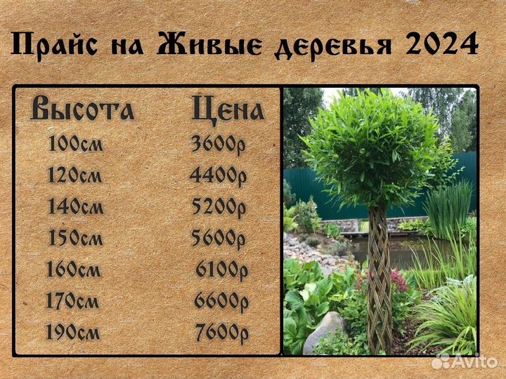 Пальма из Ивы, плетеное Дерево