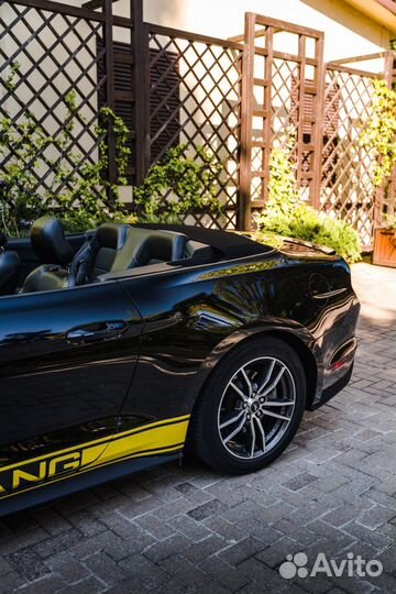 Аренда прокат авто Ford Mustang 2017 черно-желтый