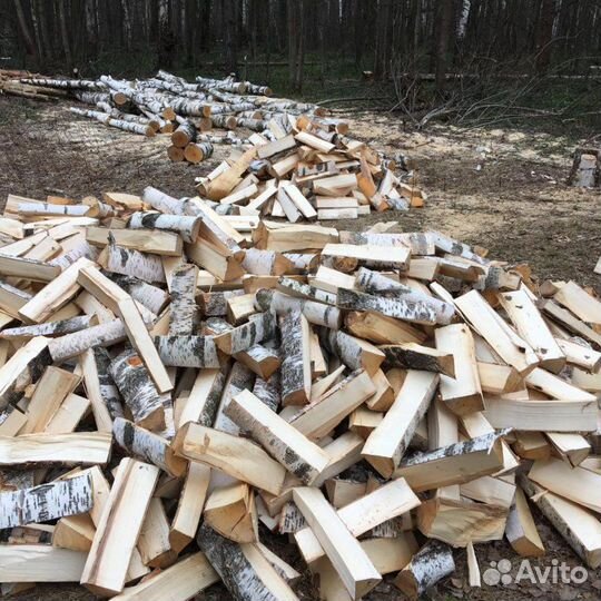 Дрова береза