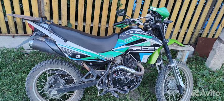 Рейсер пантера