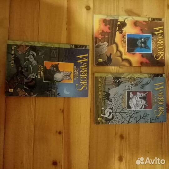 Коты водители манга