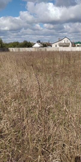 Участок 15 сот. (ИЖС)