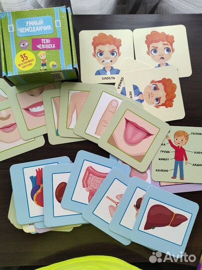 Тело человека развивающие карточки