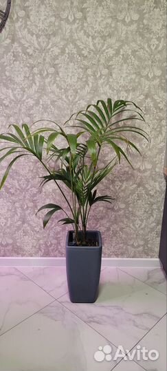 Крупномеры обновлено 23.09