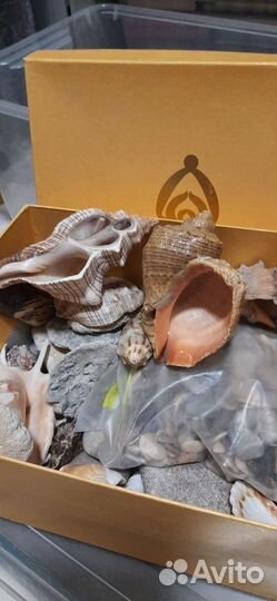 Грот, ракушки, камушки для авариума