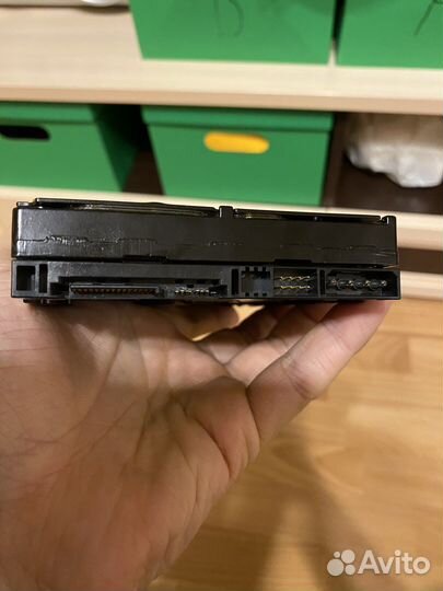 Жесткий диск western digital 250gb