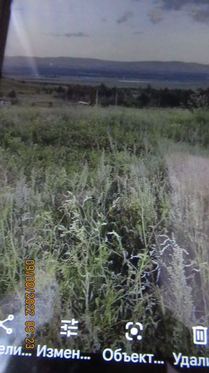 Участок 10 га (СНТ, ДНП)