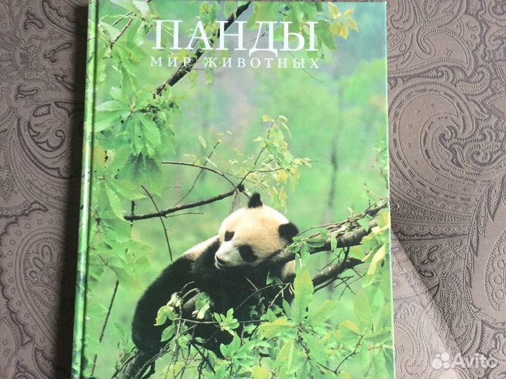 Книги новые