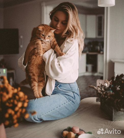 Ищу кота/кошку для фотосесии