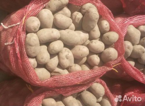 Картофель картошка с доставкой