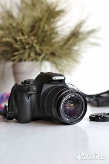 Зеркальный фотоаппарат Canon 550d в аренду