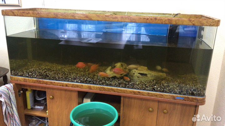 Обслуживание аквариума