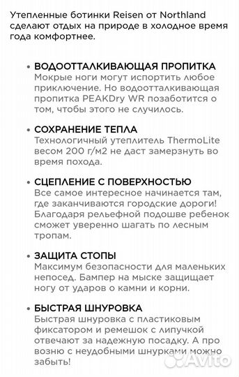 Зимние ботинки для мальчика Northland,37 размер