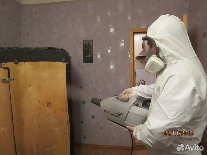 Уничтожим клопов тараканов клещей плесень запахи