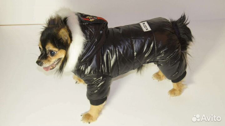 Одежда для маленьких собак зима