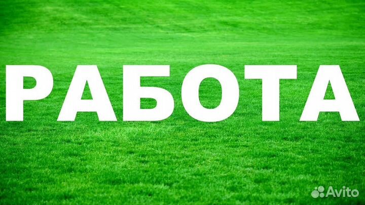 Продавец техники в скупку