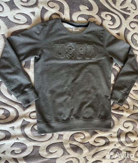 Свитшот uspa