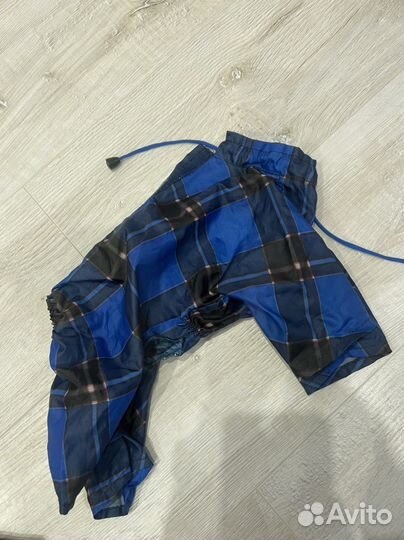 Одежда для собак