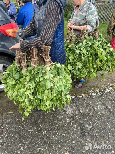 Березовые веники продам