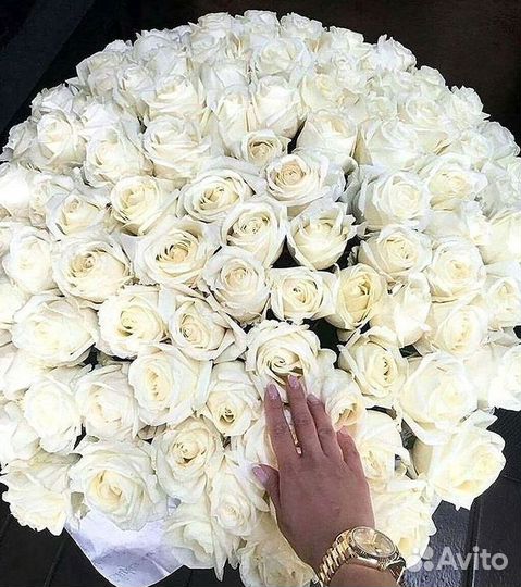 Букет роз 101 роза 51 роза