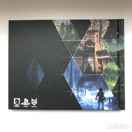 Horizon Zero Dawn Limited Edition