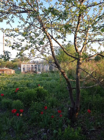 Дача 18 м² на участке 7,3 сот.