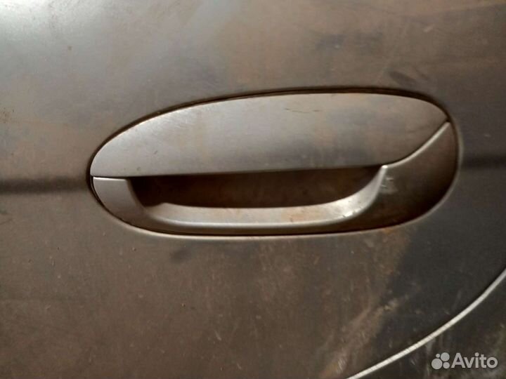 Ручка двери spectra