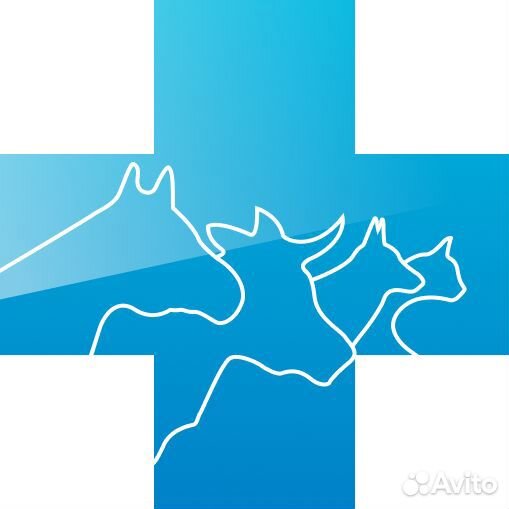 Продавец консультант в зоомагазин