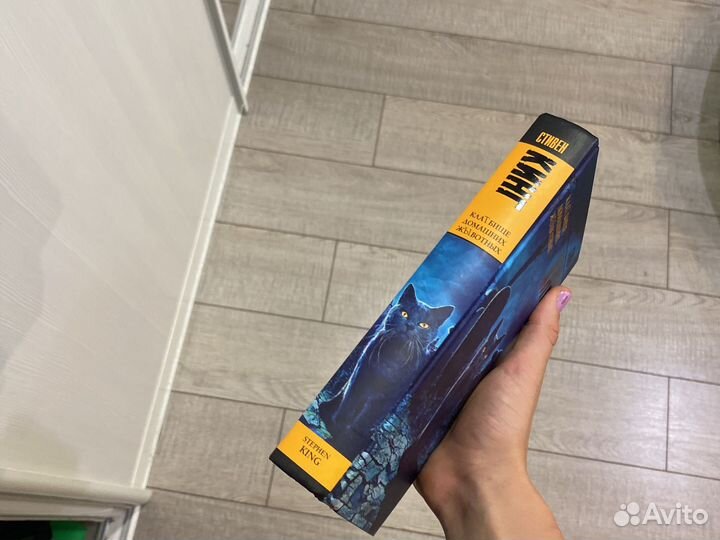 Кладбище домашних животных книга стивена кинга