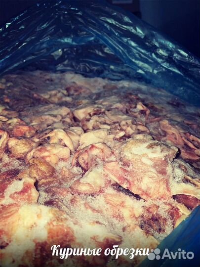 Корм для животных