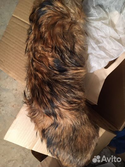 Мех на воротник
