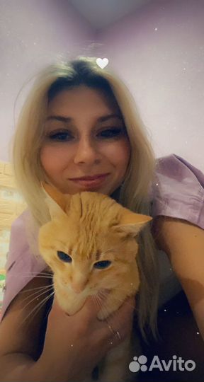 Груминг стрижка собак и кошек