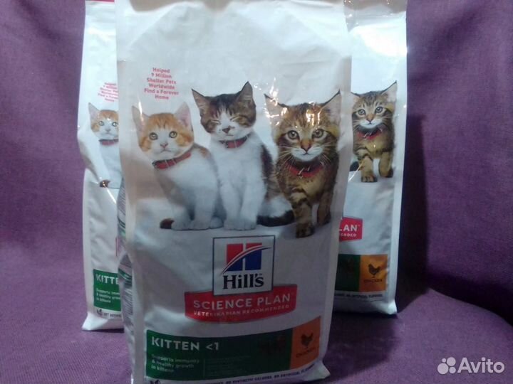 Сухой корм Hill's (3 кг) для котят
