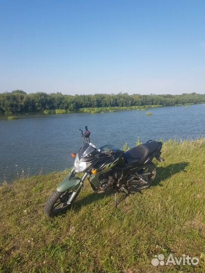 Рейсер 250