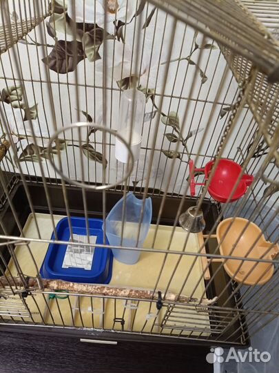 Клетка для волнистого попугая + все необходимое