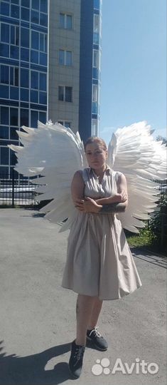 Большие белые крылья