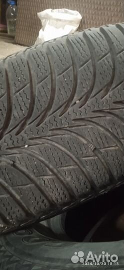 Sava Eskimo Ice 175/65 R14