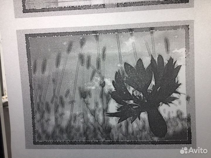 Калька для принтеров и плоттеров - HP C3868A в рул