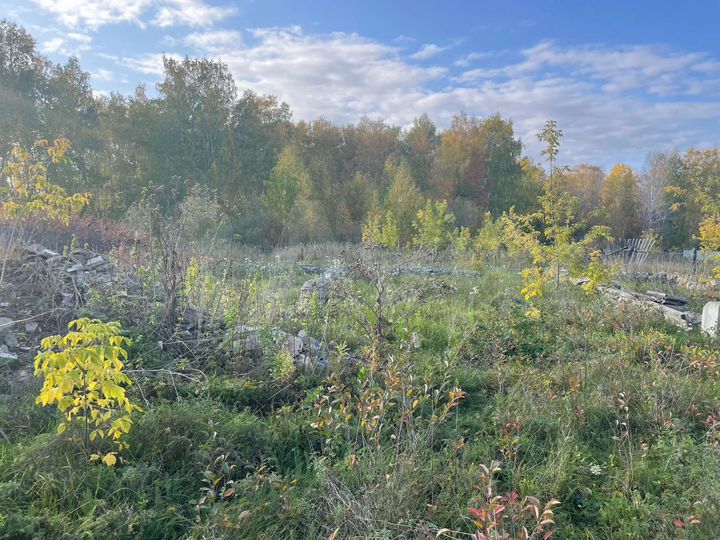 Участок 10 сот. (ИЖС)