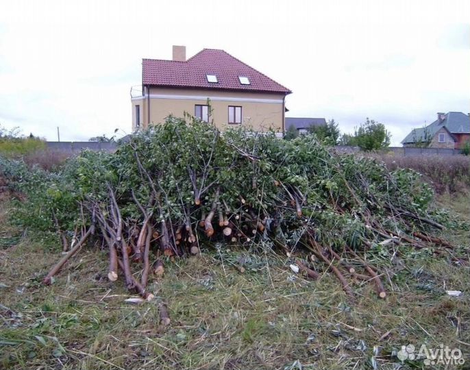 Спил деревьев. Расчистка участка. Утилизация