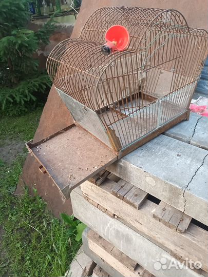 Клетка для волнистого попугая