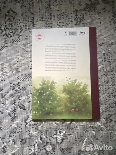 Братья гримм книга 