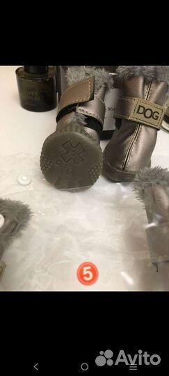 Зимняя обувь для собак