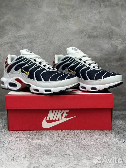 Кроссовки Nike air max TN plus мужские