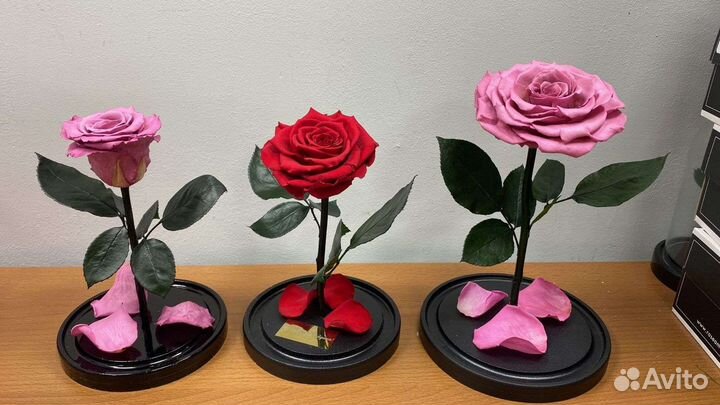 Подарок девушке