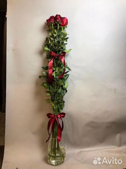 Длинная роза 150 сантиметров
