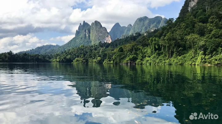 Go в Thailand от 8 дн